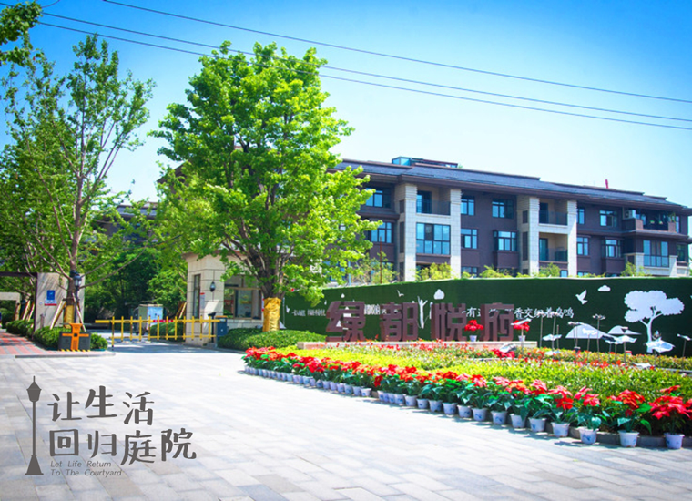前后张望南阳50年：这样的天井，很难再有了！