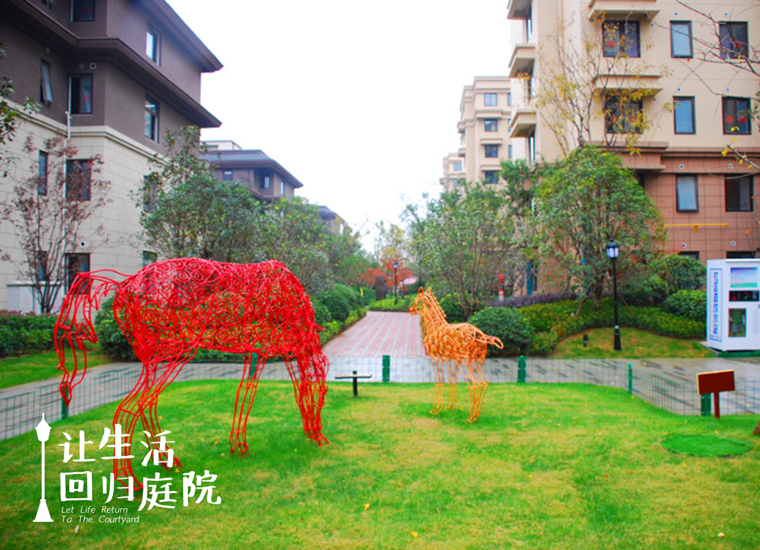 前后张望南阳50年：这样的天井，很难再有了！