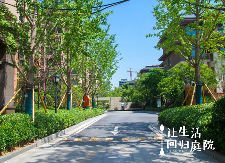前后张望南阳50年：这样的天井，很难再有了！