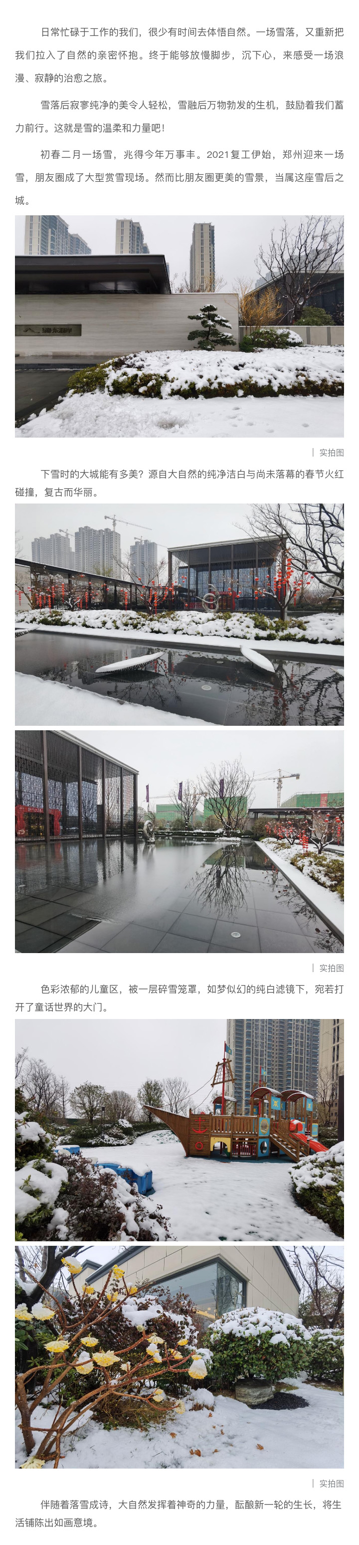 2021浪漫开年，共赏一场鹅毛大雪！