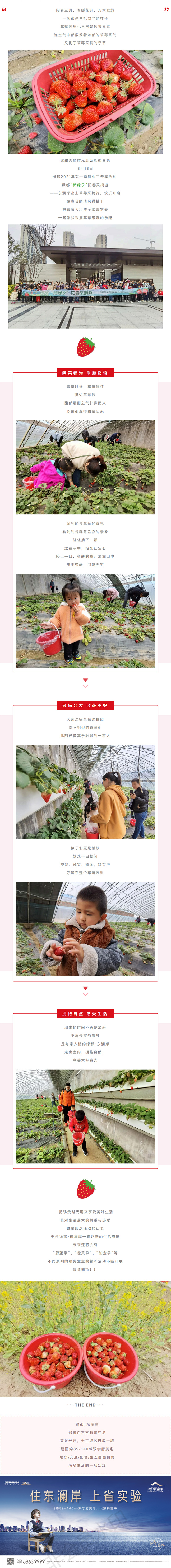 草莓采摘行|“莓”好同业，不负春日好时光